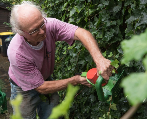 Foto Hecke schneiden